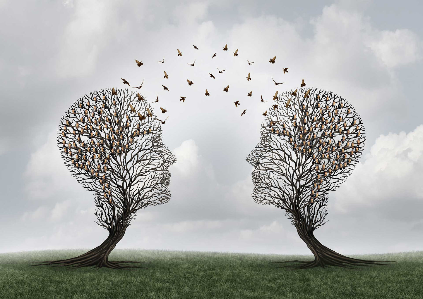 Jungian Analysis